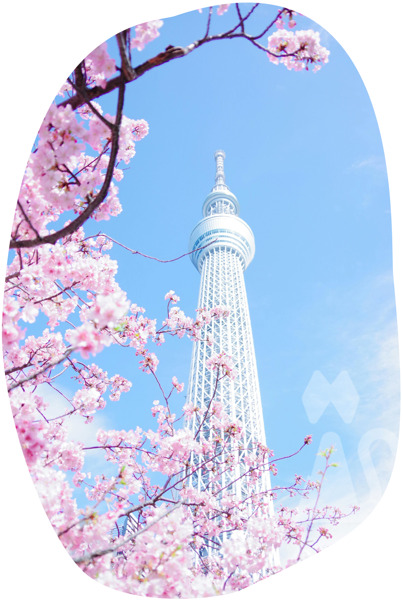 名塚土地家屋調査士事務所